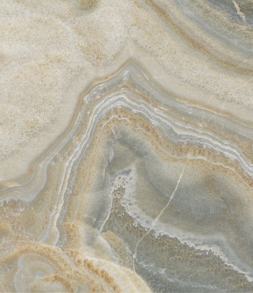 Amoeba Onyx